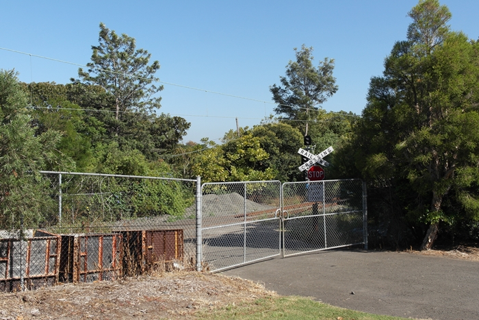 Lavender Bay Line: 19th March 2015